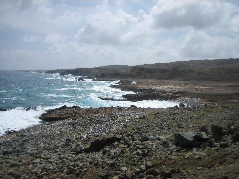20060119103102   Rocky shore